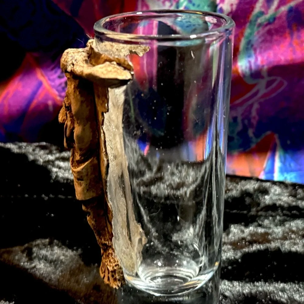 Double Shot Glass Xplor Park Mexico Mayan Ancient Civilization Theme